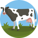 Cares for the Cows