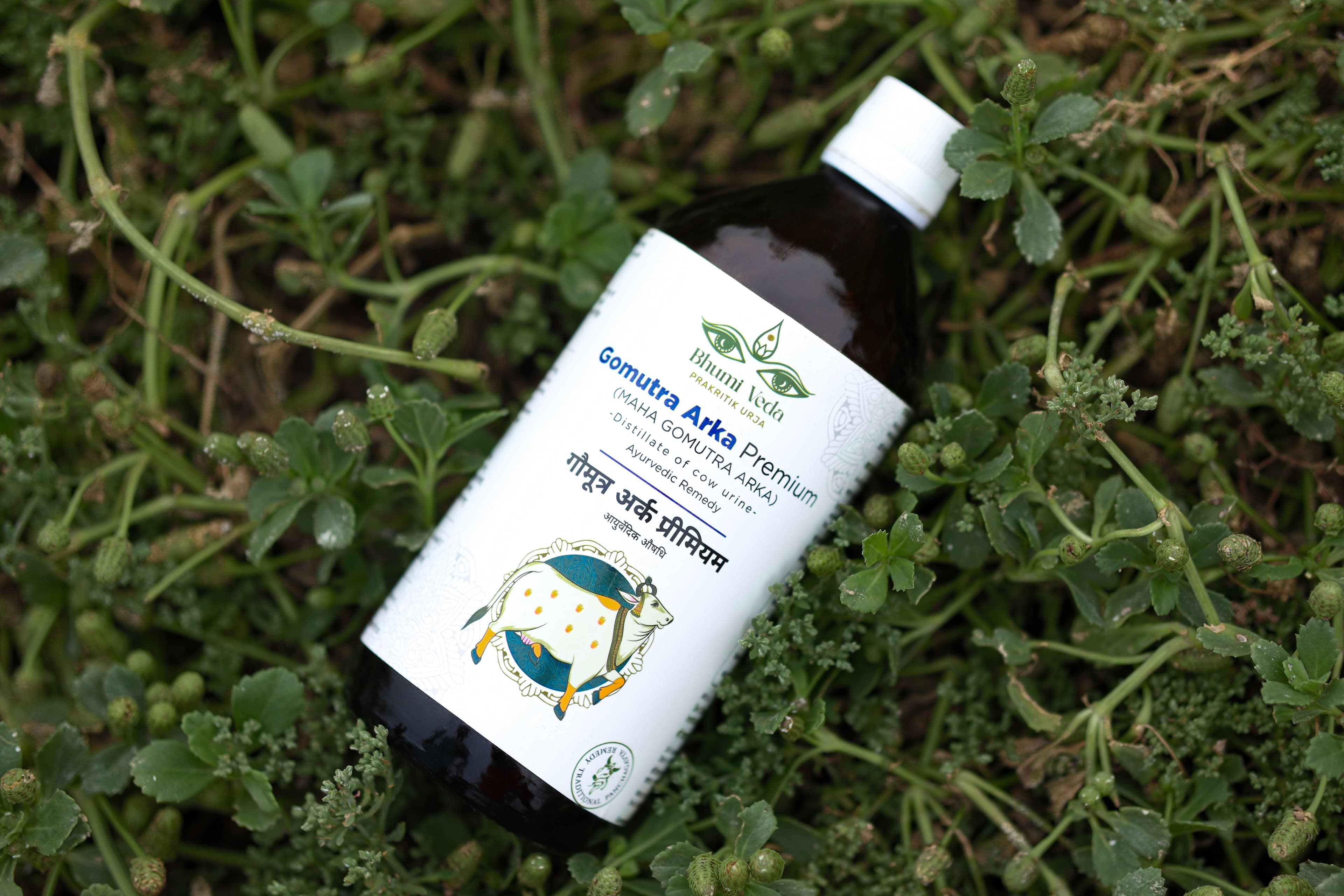 Discover Our Products
